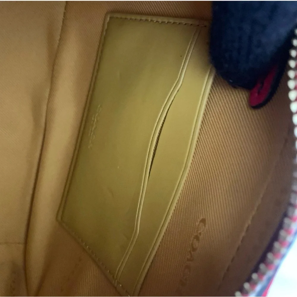 Coach stylish crossbody